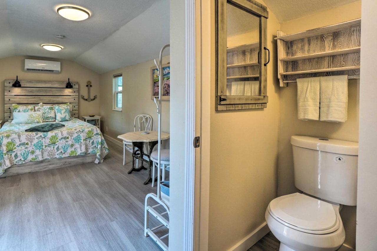 Tropical Palm Harbor Studio Walk To Gulf! Экстерьер фото